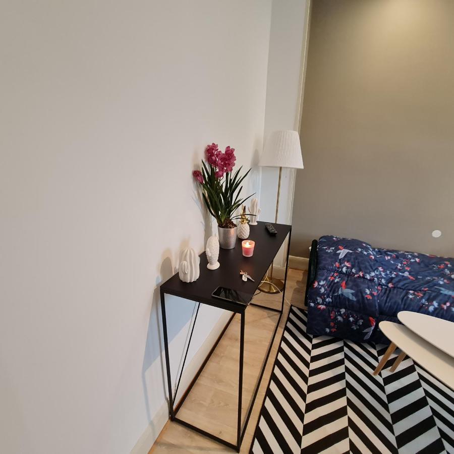 Belle Lauch Apartment Colmar Bagian luar foto