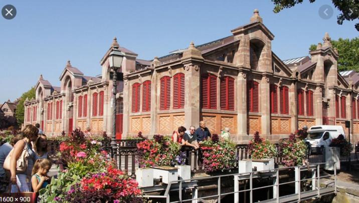 Belle Lauch Apartment Colmar Bagian luar foto